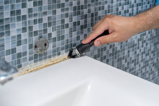 Best Mold Remediation  in Hurleyville, NY