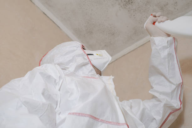 Mold Testing and Removal in Hurleyville, NY